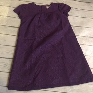 Hanna Andersson eggplant purple dress